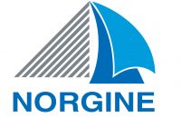 Logo Norgine Print