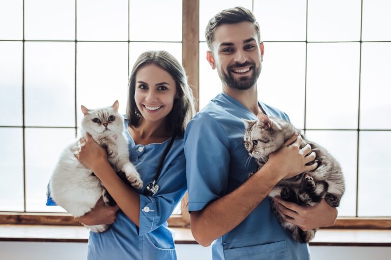 Tiermedizinische R Fachangestellte R Ausbildung