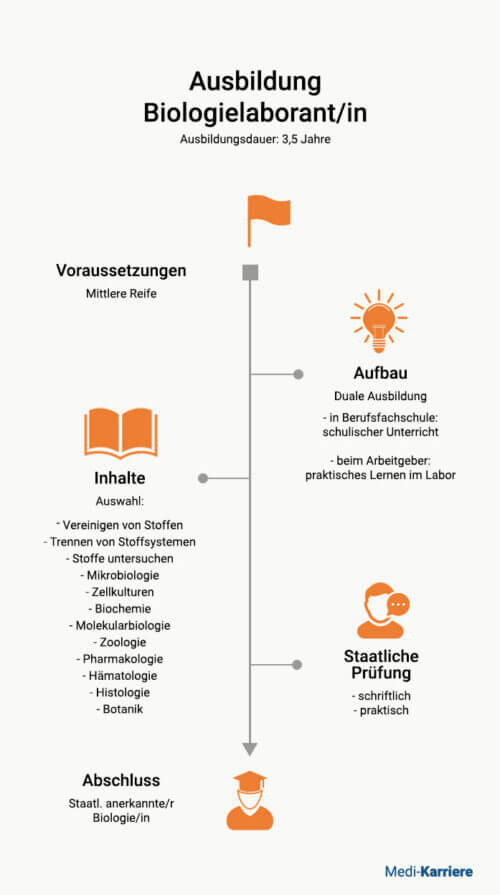 Biologielaborant Ausbildung Überblick