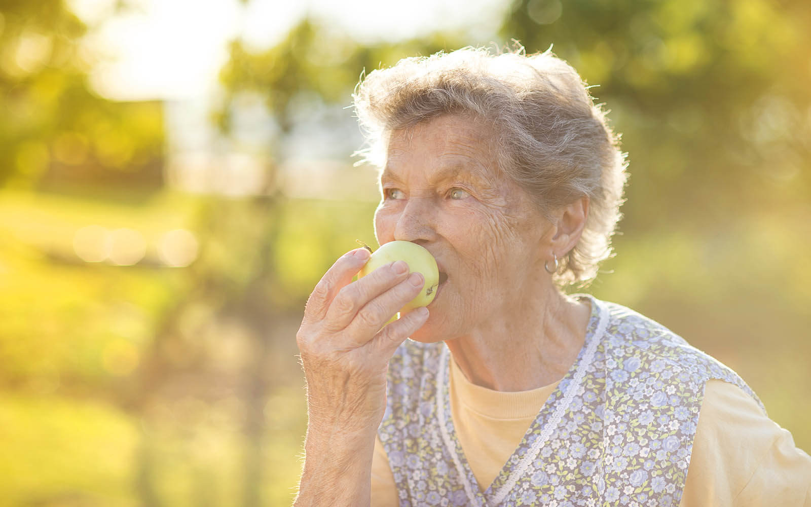 Expertenstandard Ernährungsmanagement in der Pflege