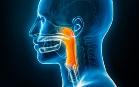 Xray,Lateral,Or,Profile,View,Of,The,Pharynx,3d,Rendering