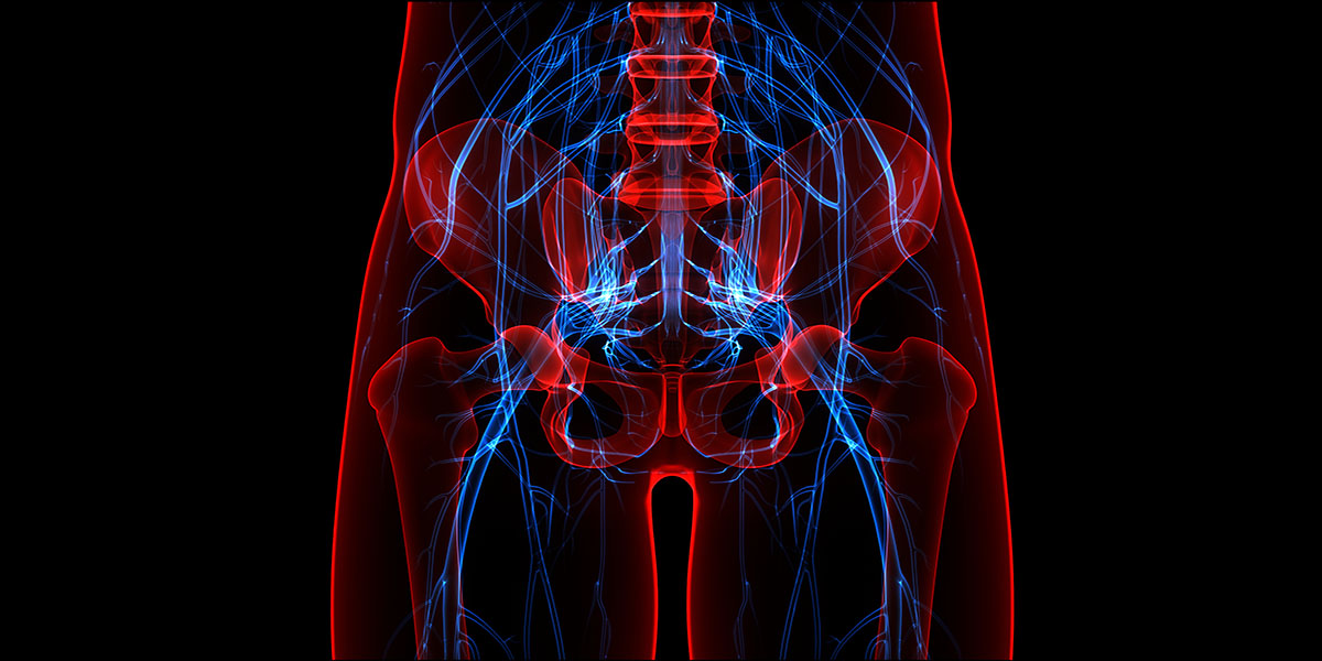 Human,Skeleton,System,With,Nervous,System,Anatomy.,3d