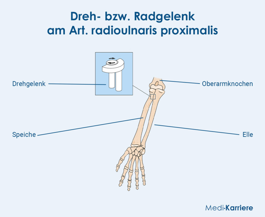 Grafik Drehgelenk