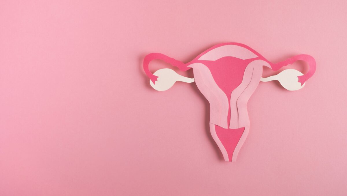 Decorative,Model,Uterus,Made,Frome,Paper,On,Pink,Background.,Women's