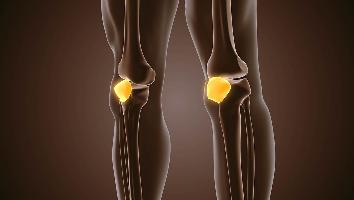 3d,Medical,Concept,Of,Pain,In,The,Patella