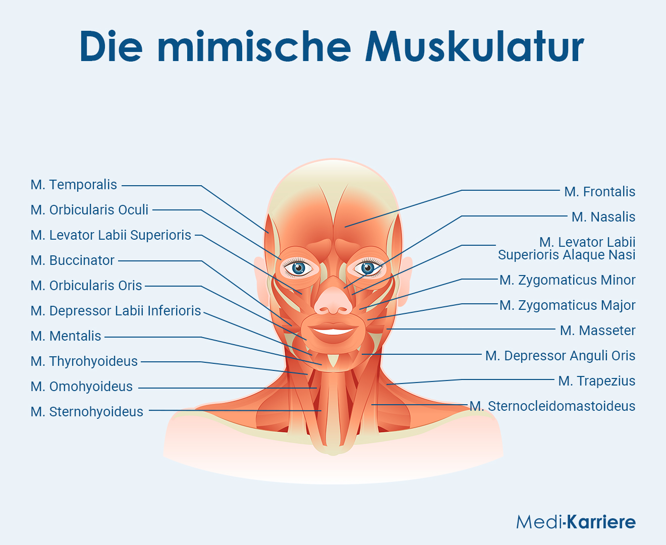 Gesicht Grafik