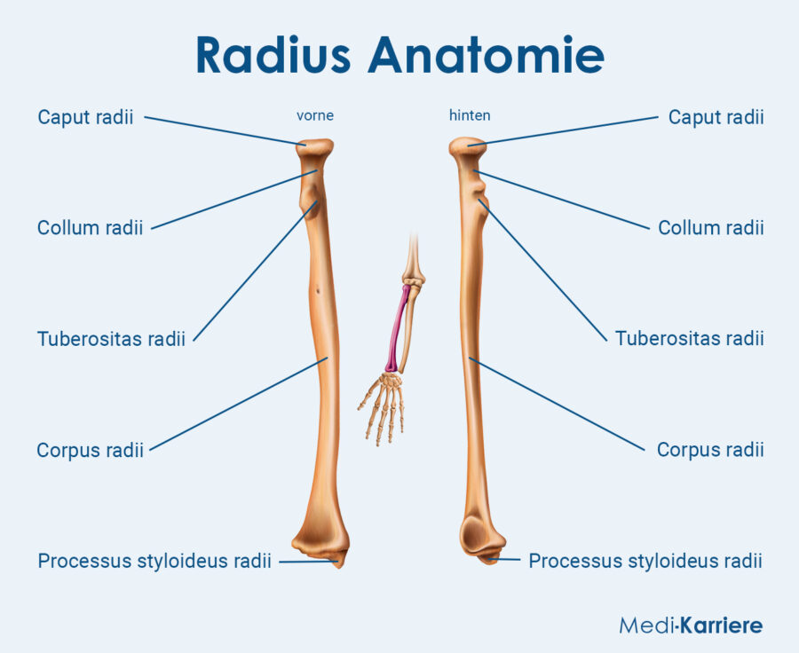 Grafik Radius