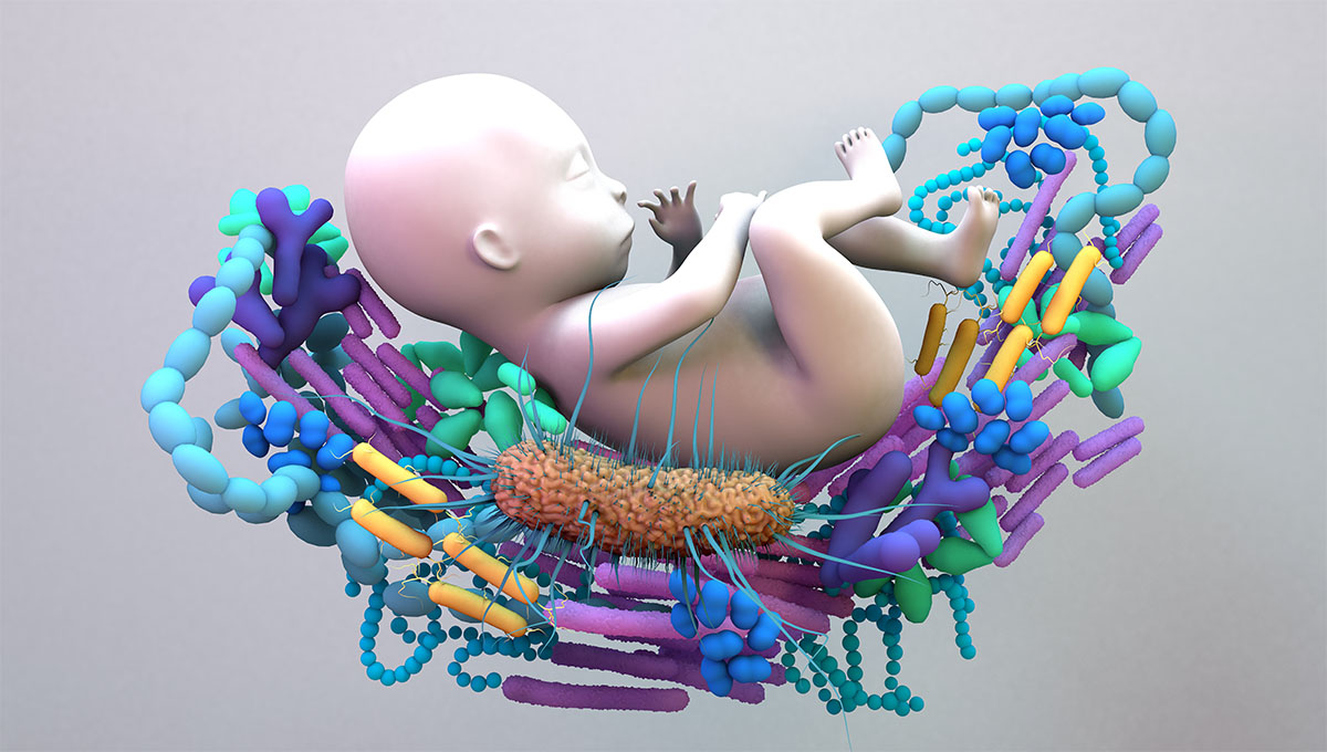 Baby,Microbiome,,The,Infant,Gut,Microbiome,,Genetic,Material,Of,All
