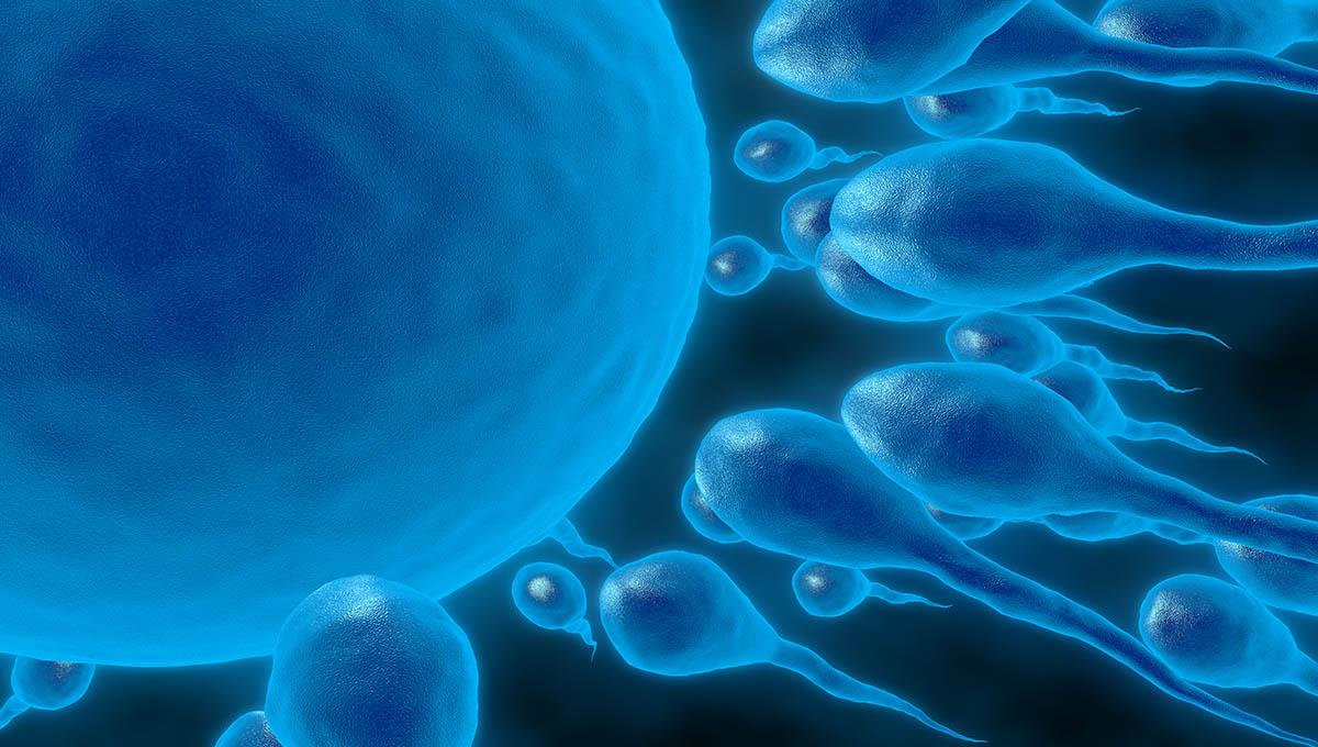 3d,Illustration,Of,Sperm,And,Fertile,Human,Egg.,Fecundation.,Insemination