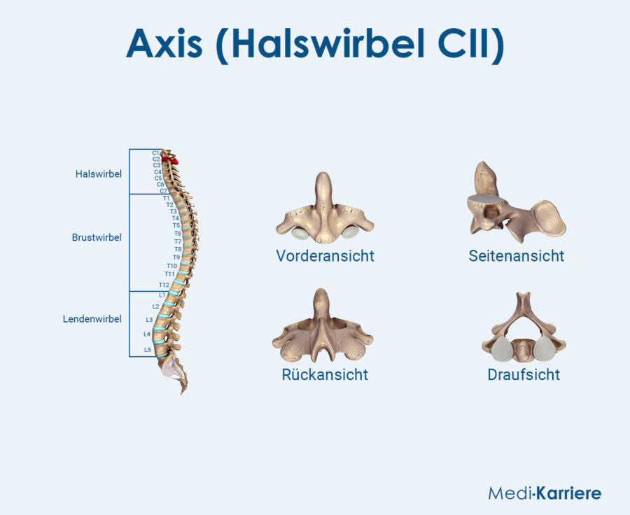 Grafik Axis