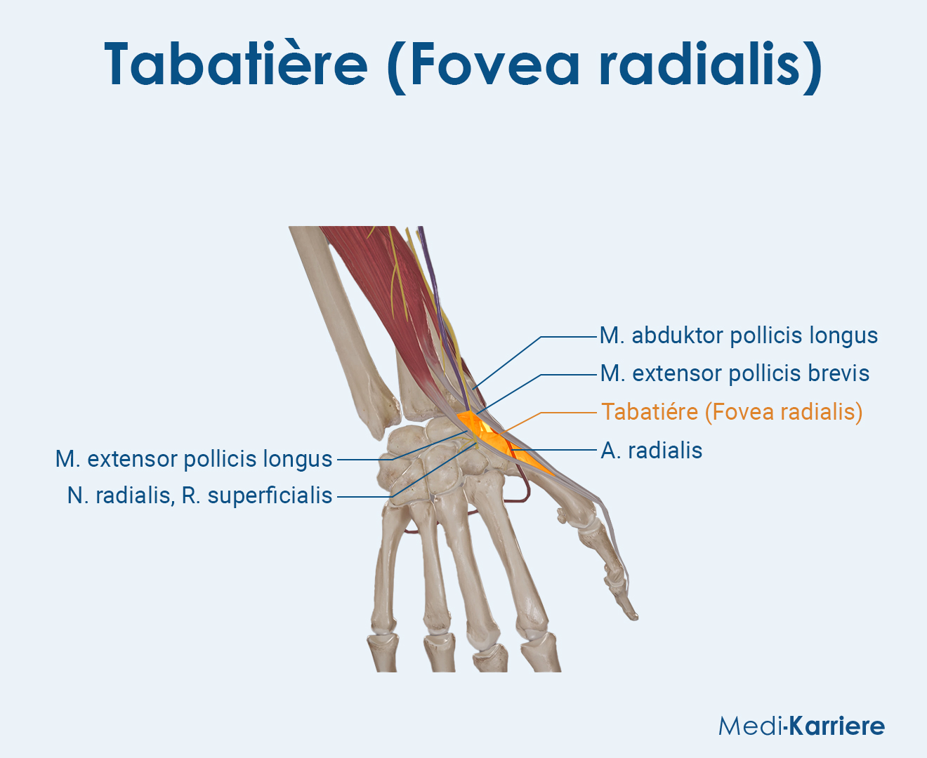 TabatiÃ¨re Grafik