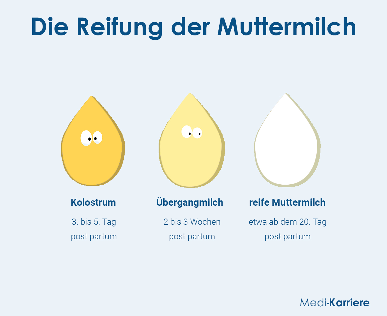 Kolostrum Grafik