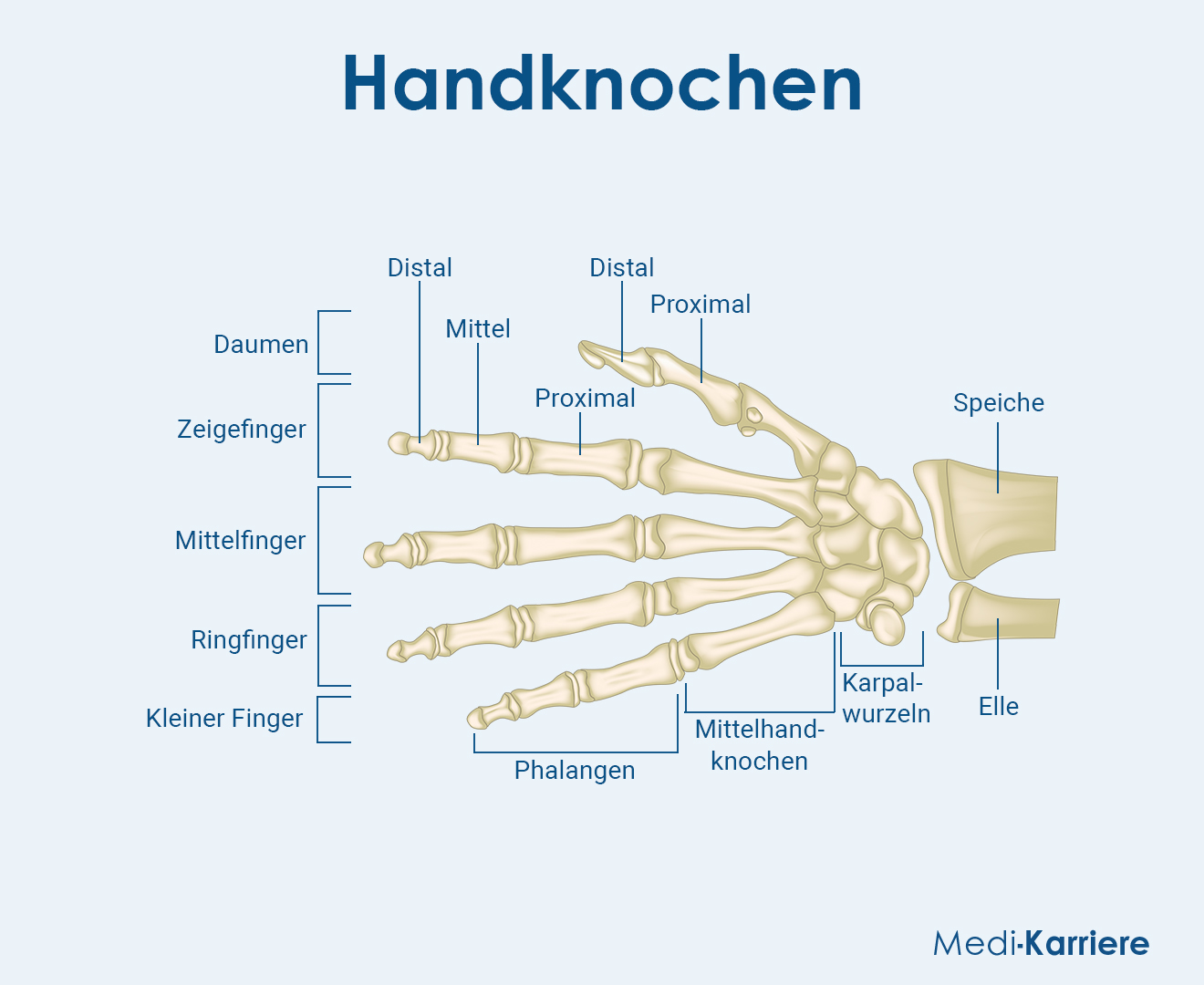 Hand Grafik