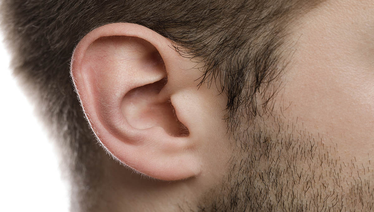 Body,Parts.,Closeup,Of,Male,Ear.