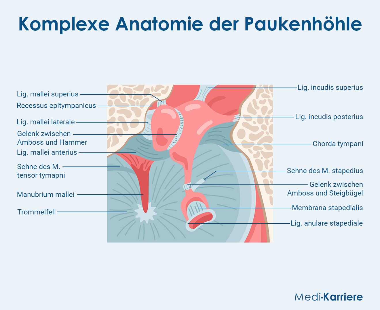 PaukenhÃ¶hle Grafik