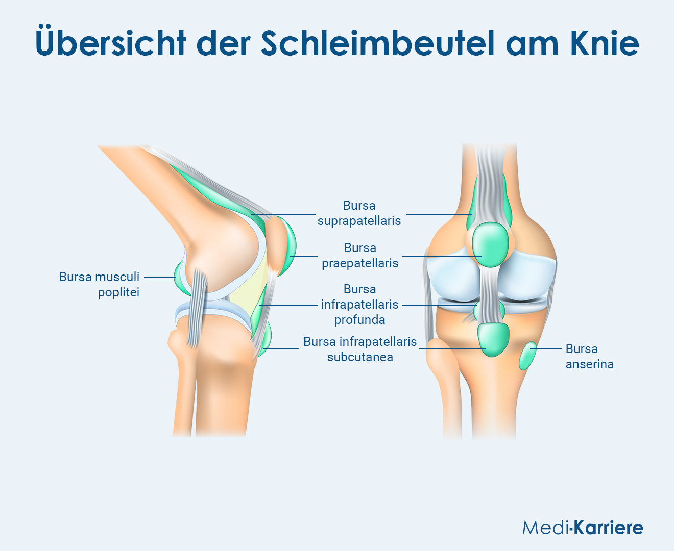 Schleimbeutel Knie Grafik