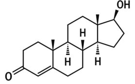 Testosteron Grafik