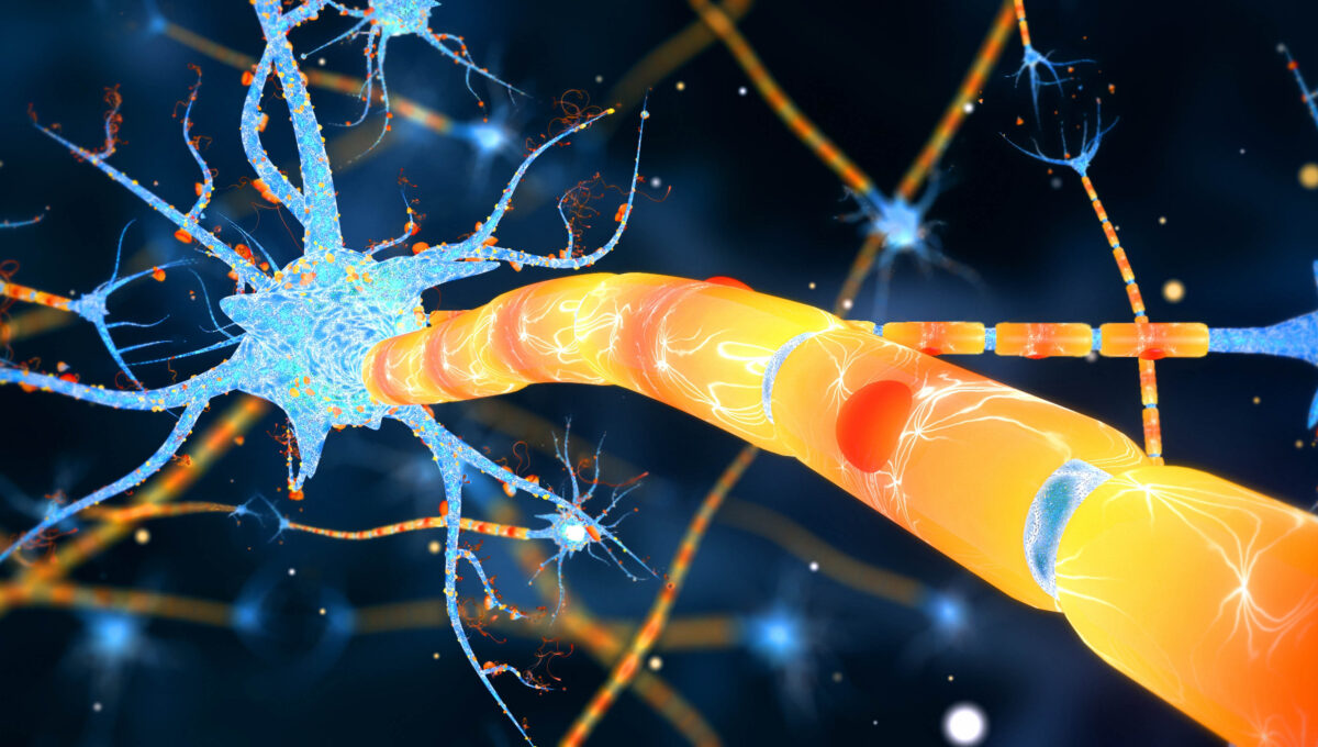 Neuronas,And,Synapse,3d,Render.,Neural,Network,,Neuroactivity,,Synapses,,Dendrid,