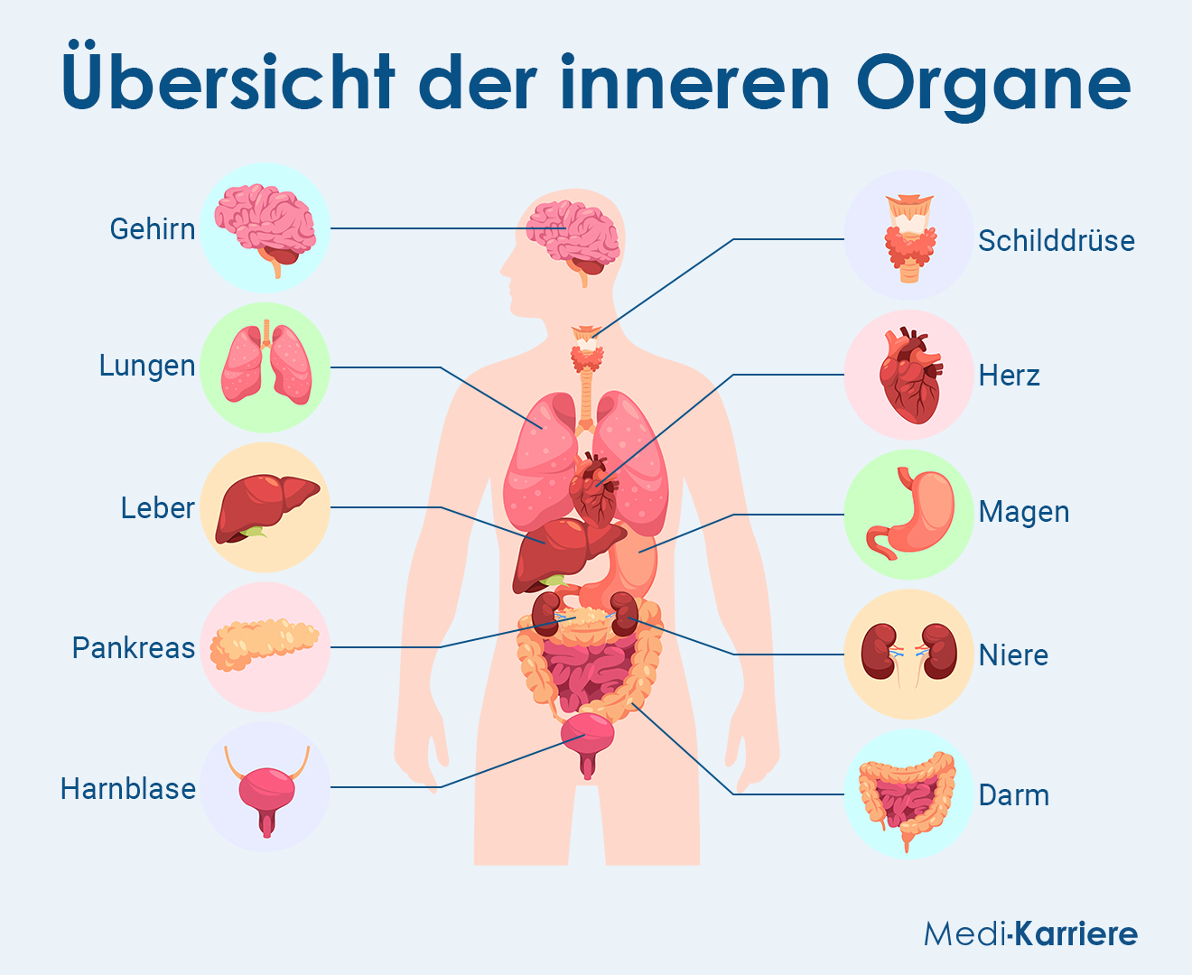 Organ Grafik