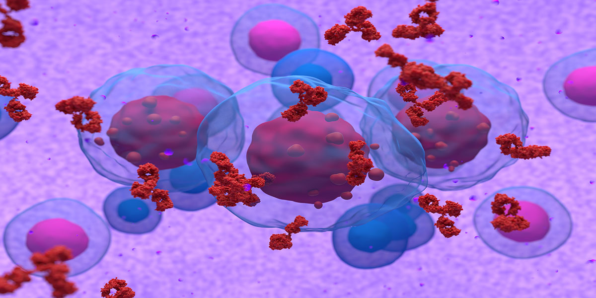 Abnormal,Plasma,Cell,Or,B Cell,In,Multiple,Myeloma,Emitting,Paraprotein