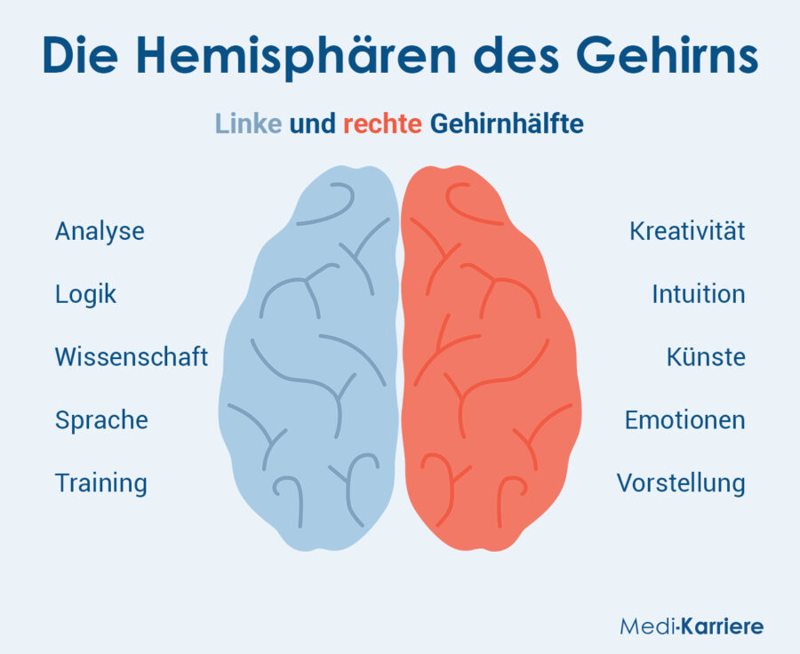 Grafik Hemisphäre