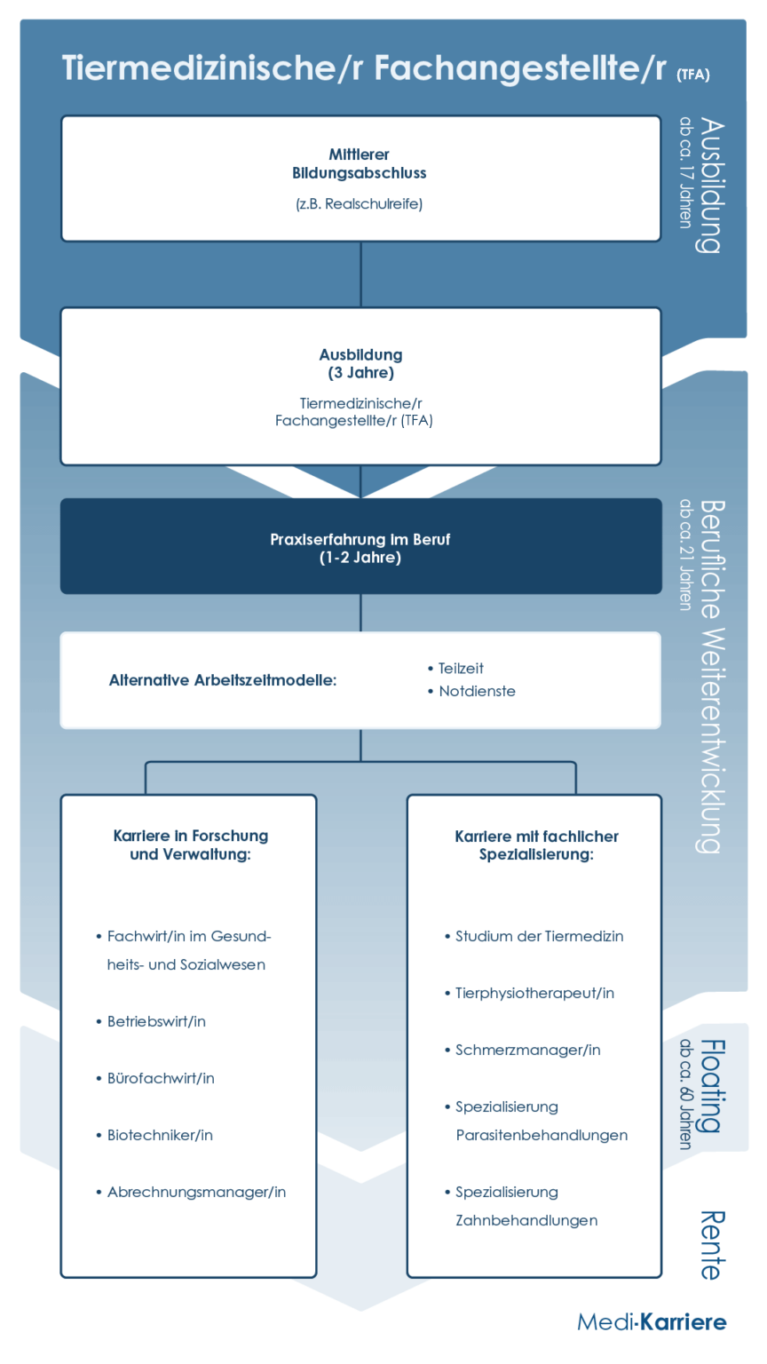 Karrierewege TFA Mobile