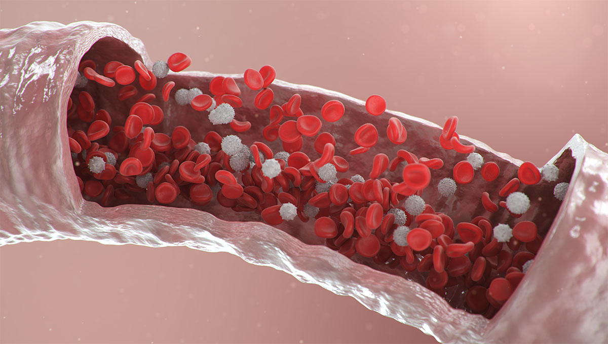 3d,Illustration,Of,Red,Blood,Cells,Inside,An,Artery,,Vein.