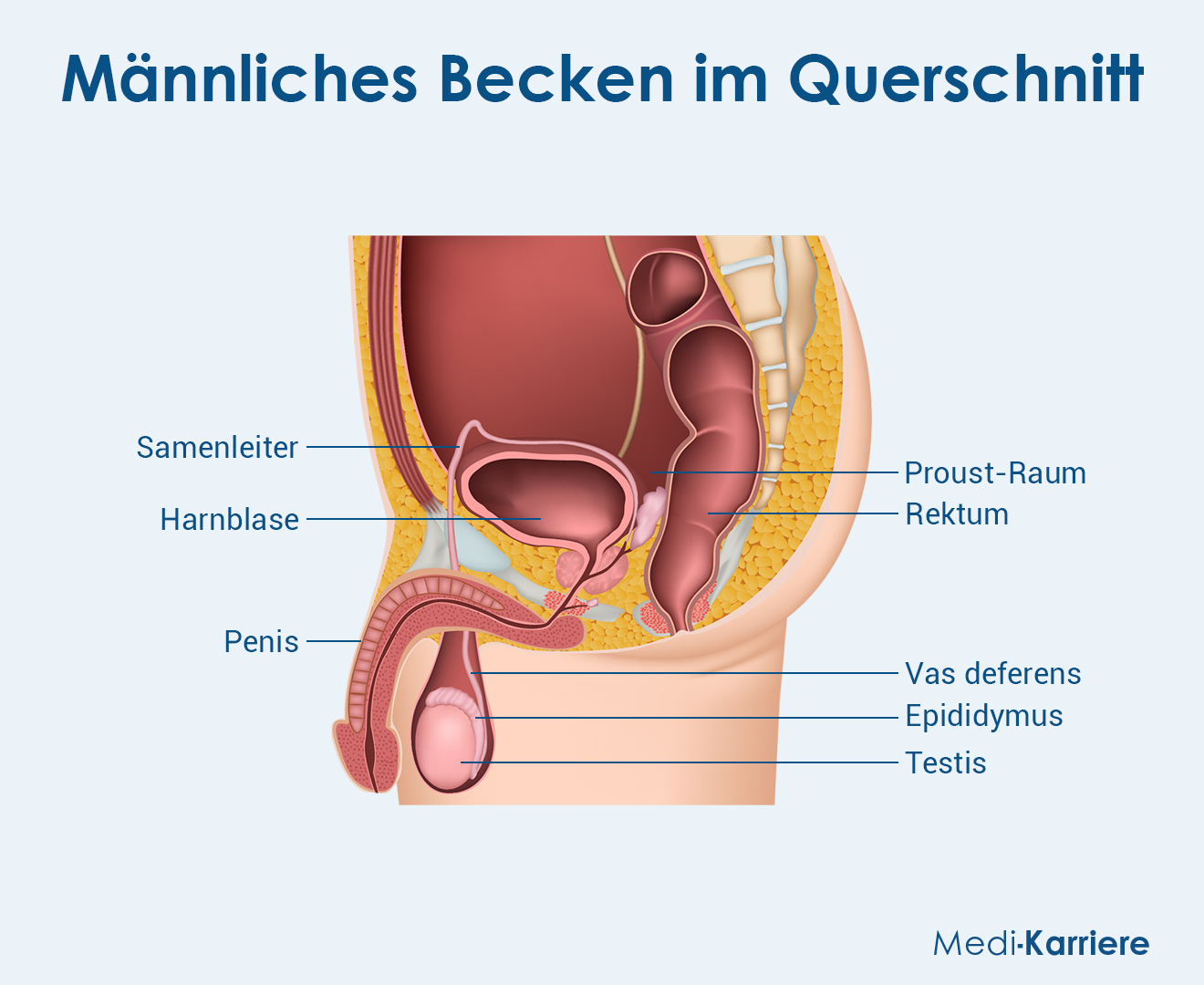 Proust Raum Grafik