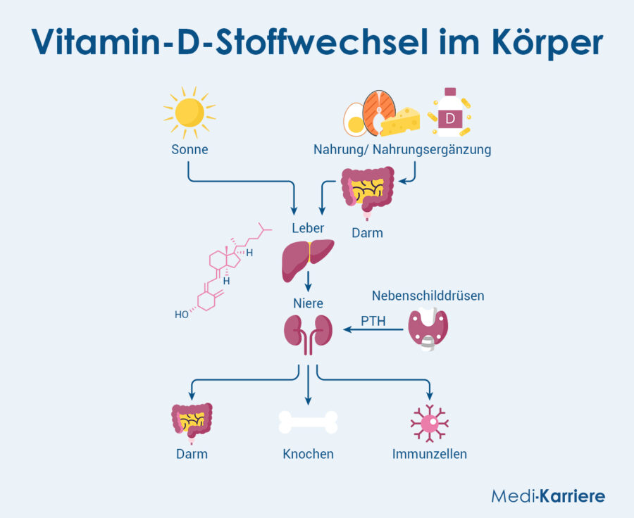 Vitamin D Grafik 1