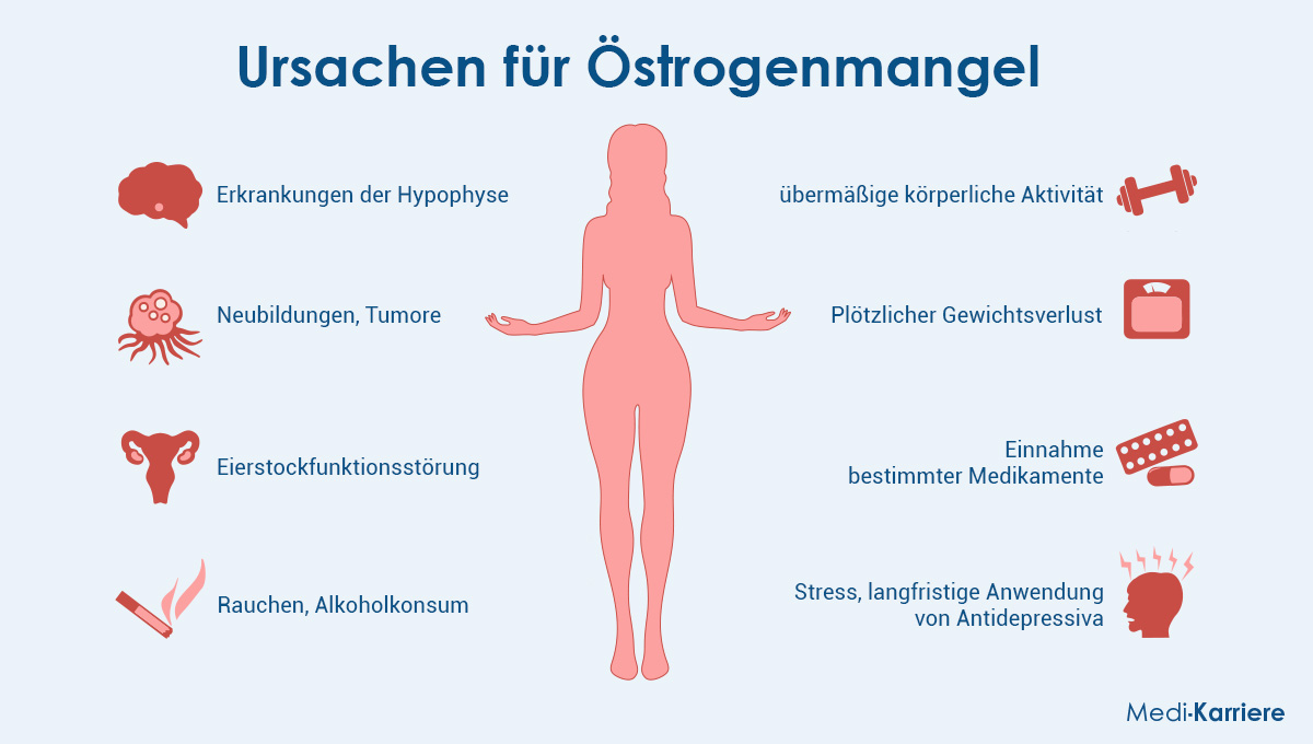 Östrogen Grafik