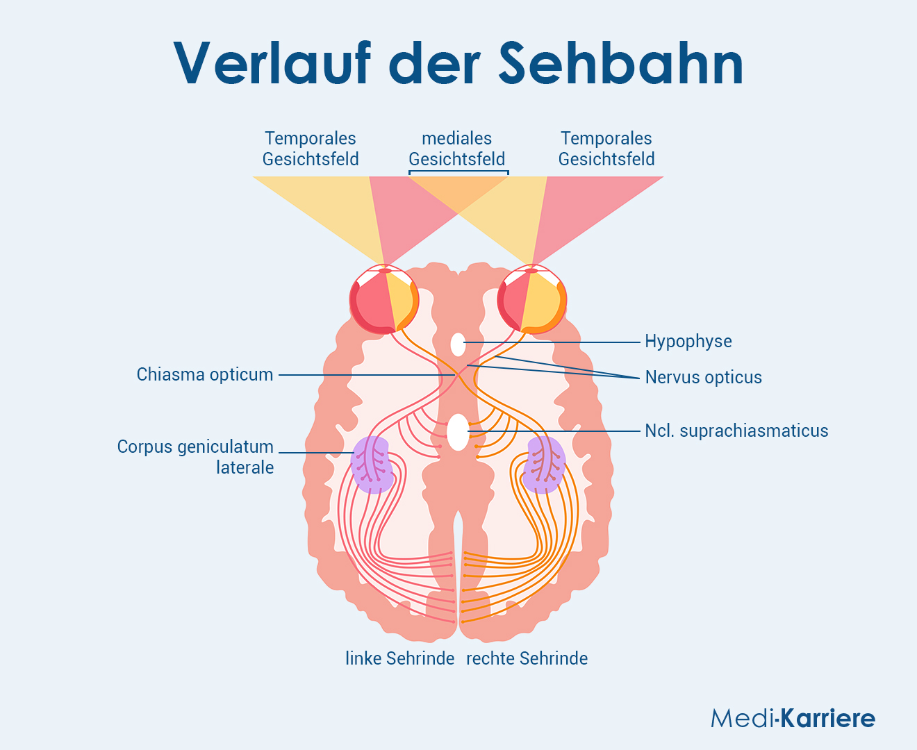 Sehbahn Grafik