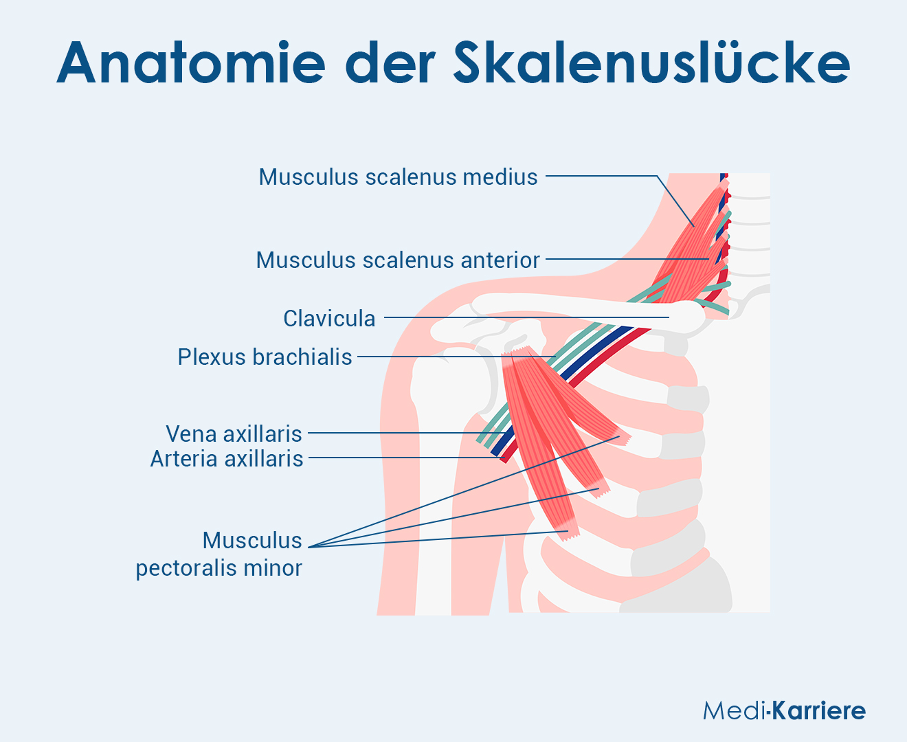 SkalenuslÃ¼cke 1 Grafik