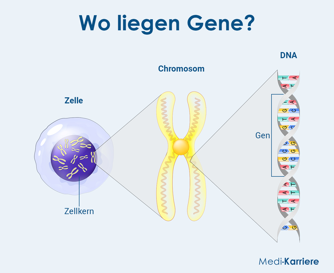 Gen 1 Grafik