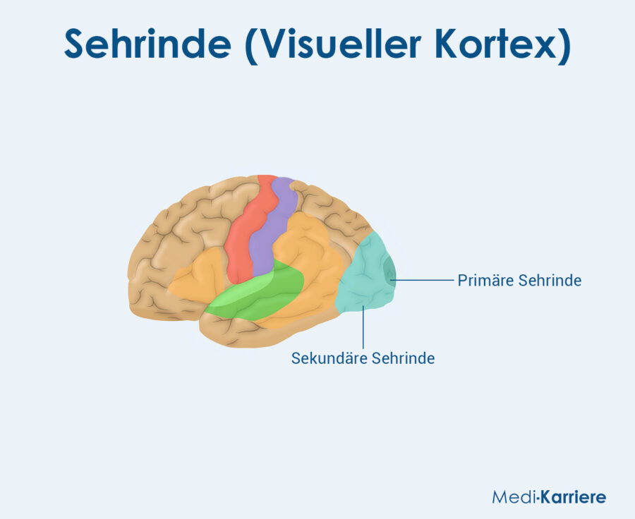 Sehrinde Grafik