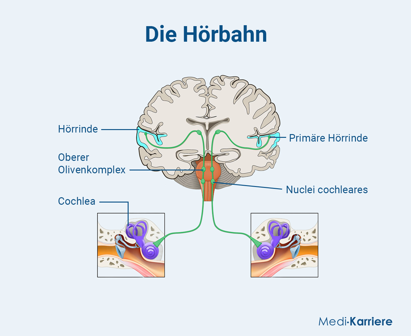 Hörbahn.Grafik