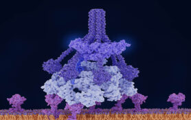 Antigen Bound,Igm,Activates,The,C1,Complex:,Antigen(magenta) Bound,Immunoglobulin,M,(igm,