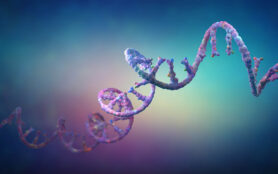 Ribonucleic,Acid,Strands,Consisting,Of,Nucleotides,Important,For,Protein,Bio Synthesis