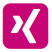 Xing-Icon